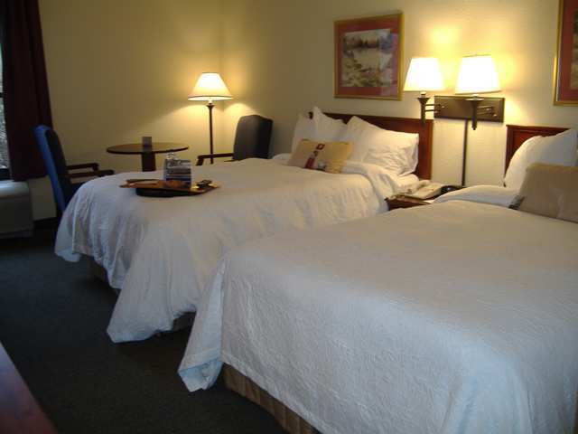 Wyndham Garden Greenville / Spartanburg Airport Номер фото